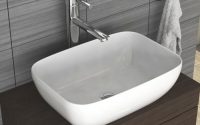 Countertop Basins