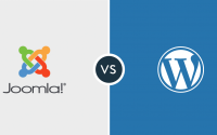 WordPress or Joomla CMS systems